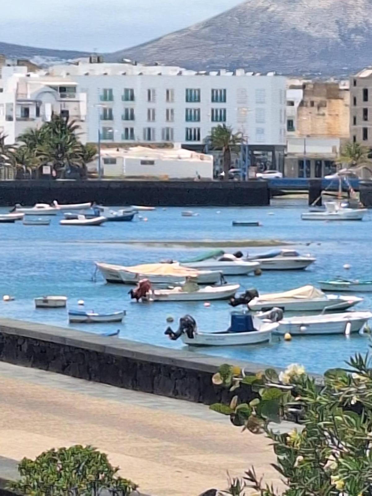 Ca'Espe Arrecife (Lanzarote) Exterior foto